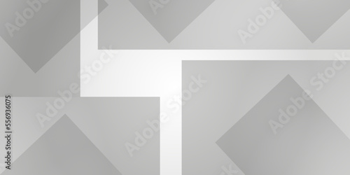 Abstract background vector . Abstract geometric background . Abstract background with lines . Gray and white texture background .Futuristic business backdrop background . texture and business banner .