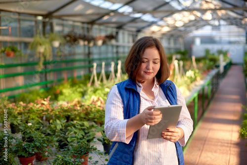 woman worker with flowers catalog online tablet in greenhouse. Concept work in greenhouse, plants