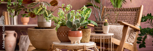 Stylish composition of creative spacious living room interior with armchair, coffee table, plants and accessories. Wooden walls and parquet floor. Template.