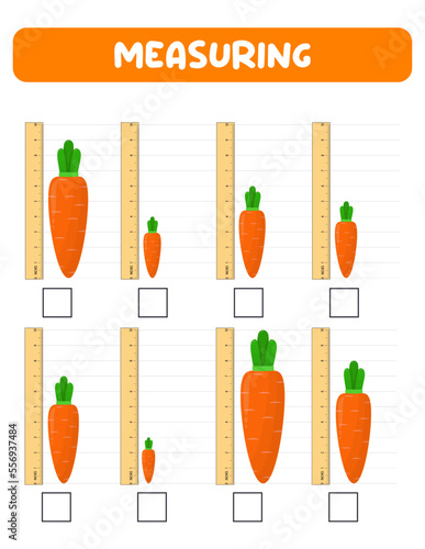 Measuring length  with ruler. Education developing worksheet. Game for kids.Vector illustration. practice sheets.Carrot measurement in inches.