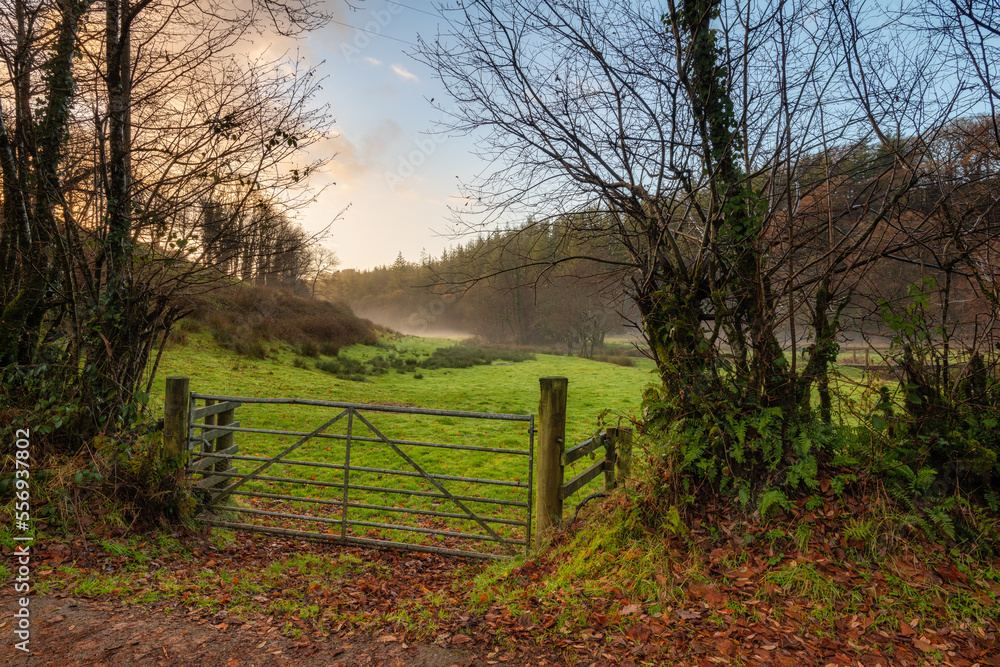 Misty Morning in the Countryside. Misty Morning in the Countryside.