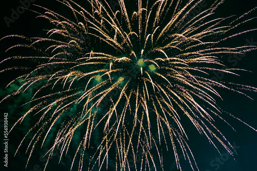 Bright, fiery fireworks against the background of the night sky.