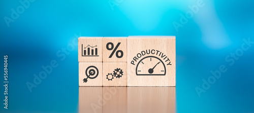 Concept of productivity