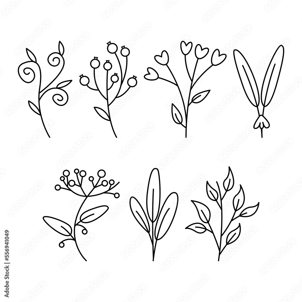 Set of hand drawn outline doodle leaves illustration collection