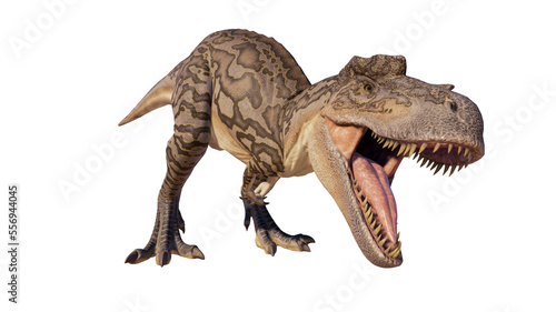 Albertosaurus PNG. Dinosaur Albertosaurus on a blank PNG high resolution background. © akiratrang