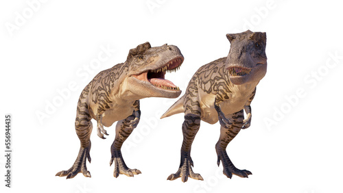 Albertosaurus PNG. Dinosaur Albertosaurus on a blank PNG high resolution background.
