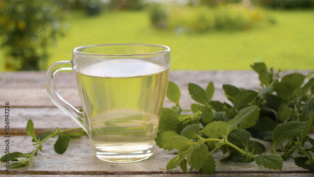 Melissa tea in glass cup Melissa tea in glass cup