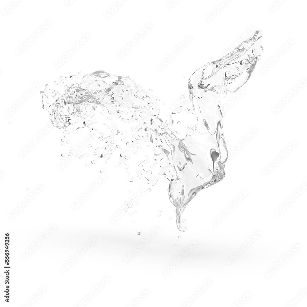 water splash isolated on white water splash isolated on white