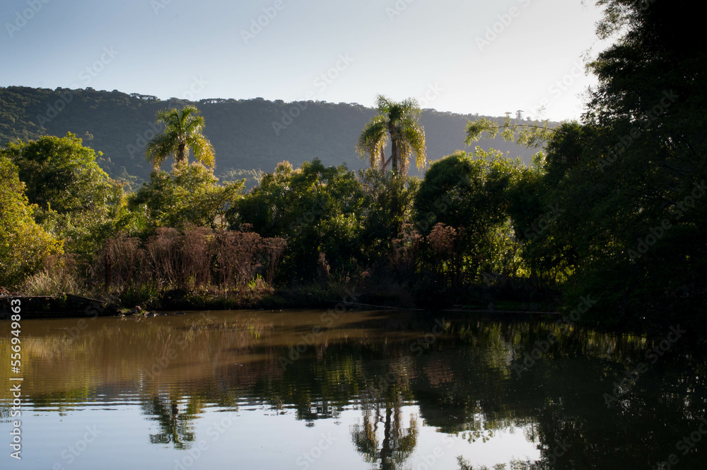 Fototapeta premium Photograph of lake at dawn in summer