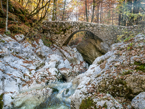 Stone bridge in Savica waterfall trail, Slovenia photo