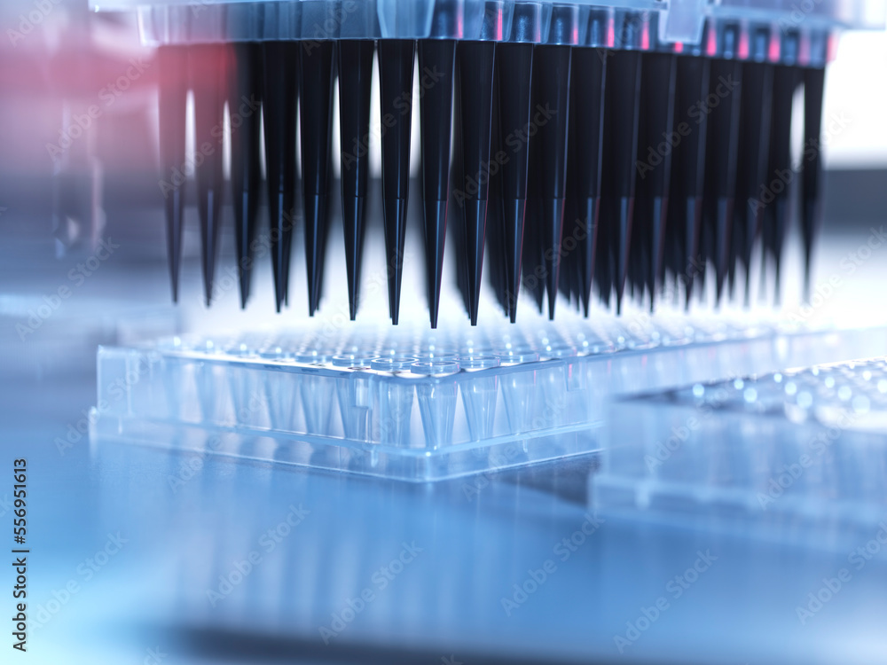 Samples being pipetted into micro plates during automated analysis in lab Samples being pipetted into micro plates during automated analysis in lab