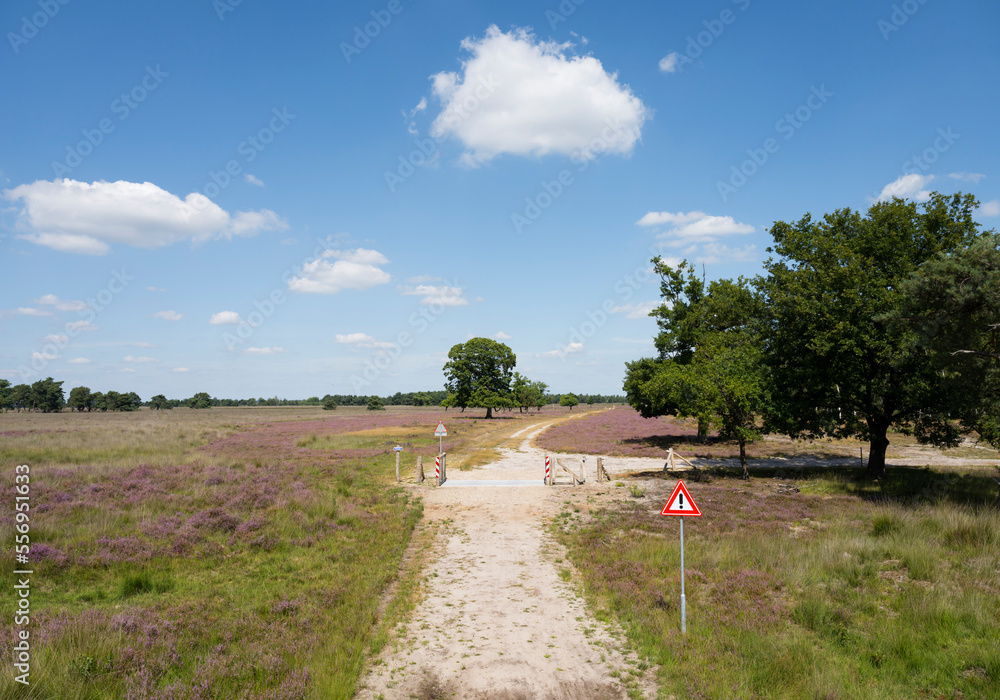 Netherlands, Breda, Dirt road crossing fields Netherlands, Breda, Dirt road crossing fields