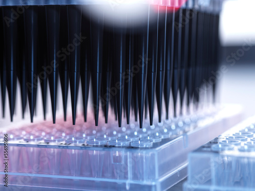 Samples being pipetted into micro plates during automated analysis in lab photo
