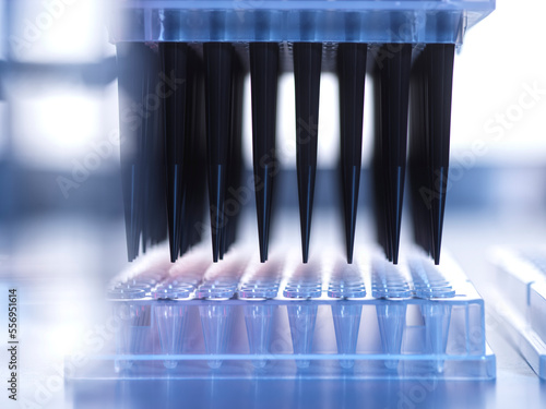 Samples being pipetted into micro plates during automated analysis in lab