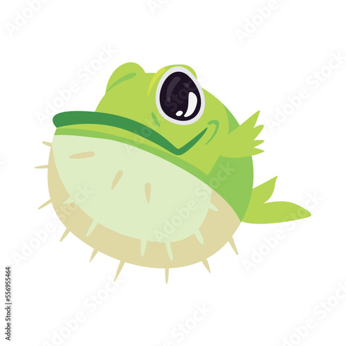 flat green blowfish