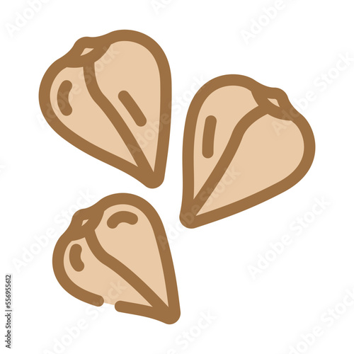 buckwheat grain healthy color icon vector. buckwheat grain healthy sign. isolated symbol illustration