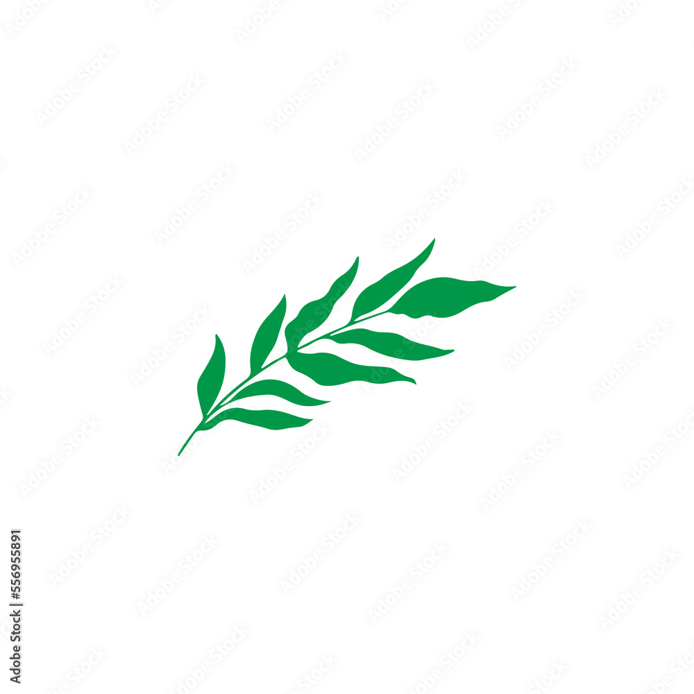 Fototapeta premium green leaf illustrator vector concept