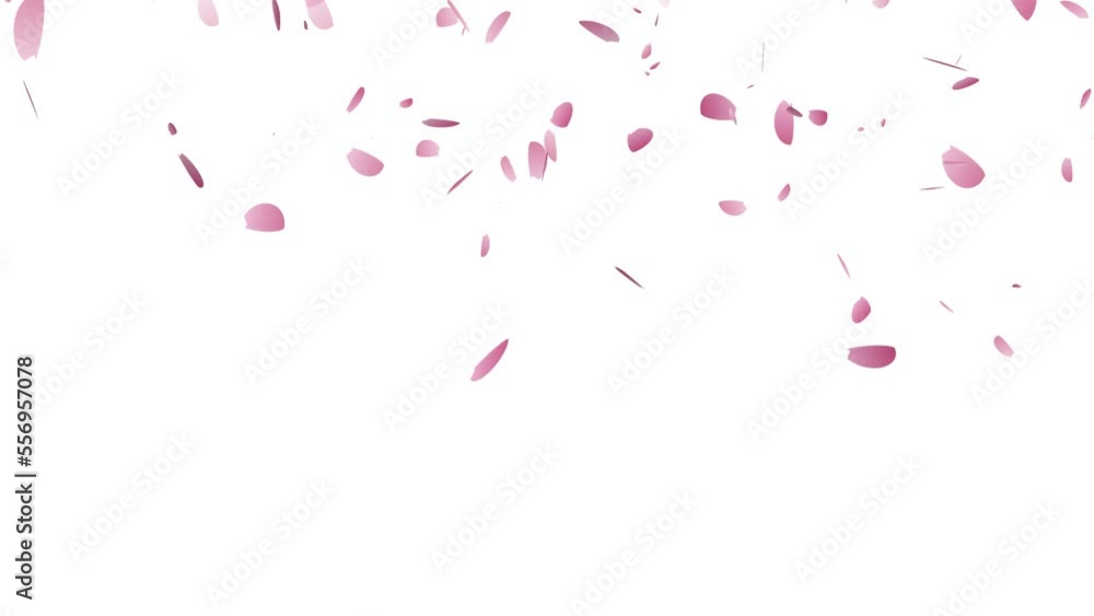 桜の花びらが散るアニメーション 桜の花びらが散るアニメーション
