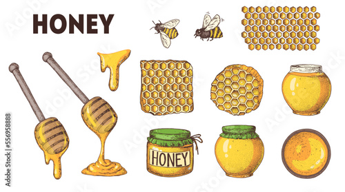 Honey hand drawn vector illustration. Healthy food illustration. Design elements. Honeycomb, jar of honey, honey dipper,