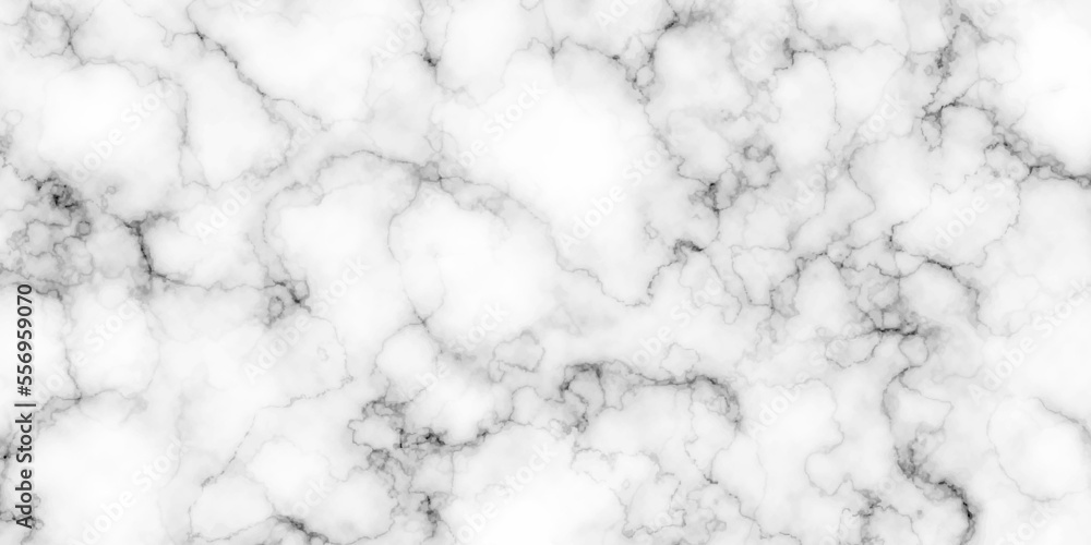 White marble texture panorama background pattern with high resolution. white architecuture italian marble surface and tailes for background or texture.
White marble texture panorama background pattern with high resolution. white architecuture italian marble surface and tailes for background or texture.