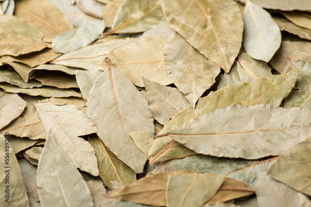 Bay leaf on table. Dried leaves of bay tree is kind of spices used for adding aroma to dishes Bay leaf on table. Dried leaves of bay tree is kind of spices used for adding aroma to dishes