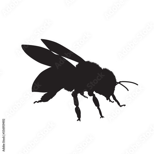 Silhouette of realistic bee honey in isolate on a white background. Vector illustration