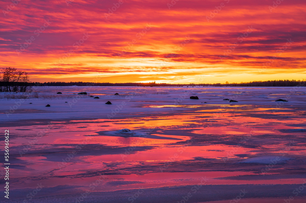 Pink sunset over the frozen sea. Andra sjön, Nykarleby/Uusilkaarlepyy. Finland