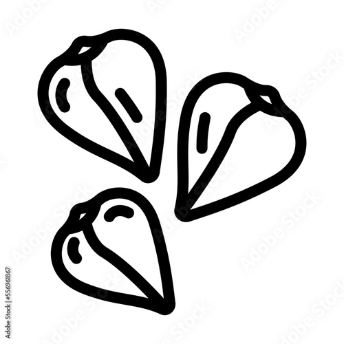 buckwheat grain healthy line icon vector. buckwheat grain healthy sign. isolated contour symbol black illustration