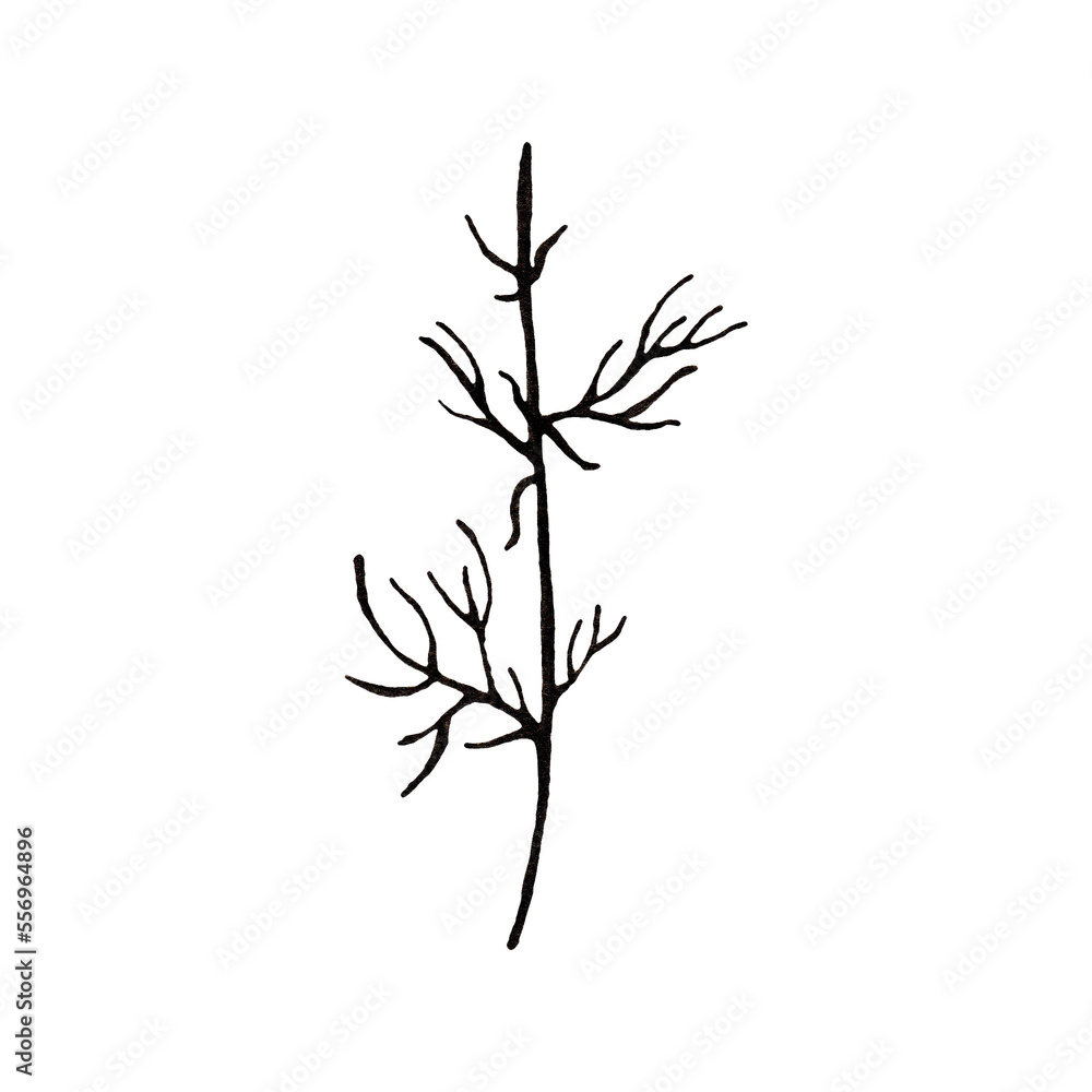 Fototapeta premium Botanical line clipart on isolated white background. For stationery design, postcards, calendars, notebooks, booklet, clothing print, phone case design, posters, stickers, splash screen