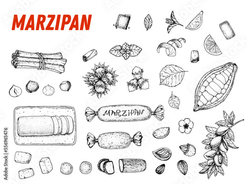 Marzipan cooking and ingredients for marzipan, sketch illustration. Almond nut and almond products. Vector illustration. Christmas sweet food. Design elements. Hand drawn, package design