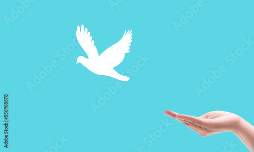 hand praying and birds free enjoying nature on light blue background hope and freedom concept