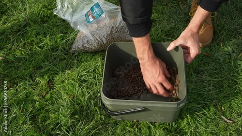 Mixing pellets for carp angling photo