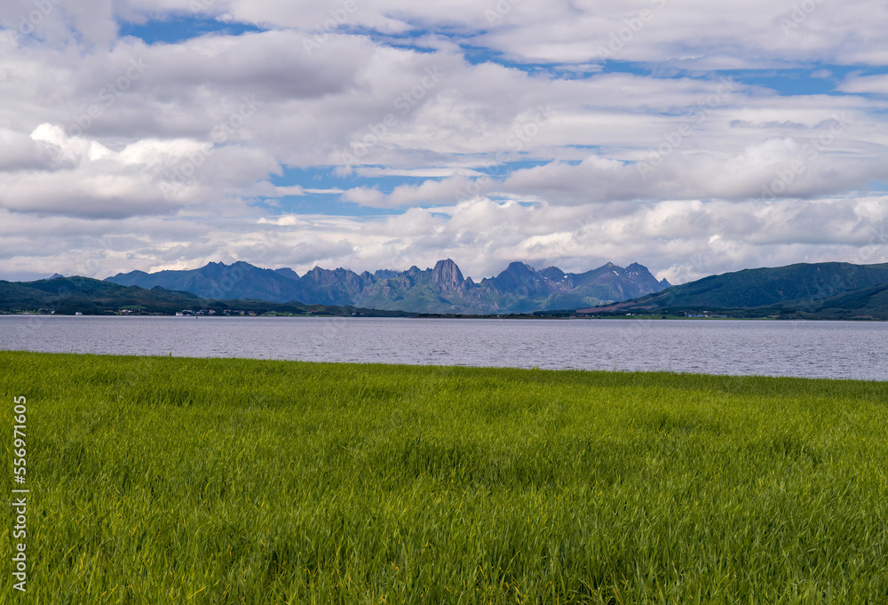 Landscape of Lofoten Islands in Norway with green meadow in the foreground and mountains in the distance Landscape of Lofoten Islands in Norway with green meadow in the foreground and mountains in the distance