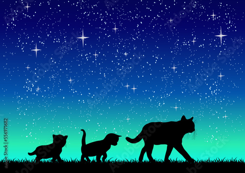 猫の親子、星空背景、ベクターファイル