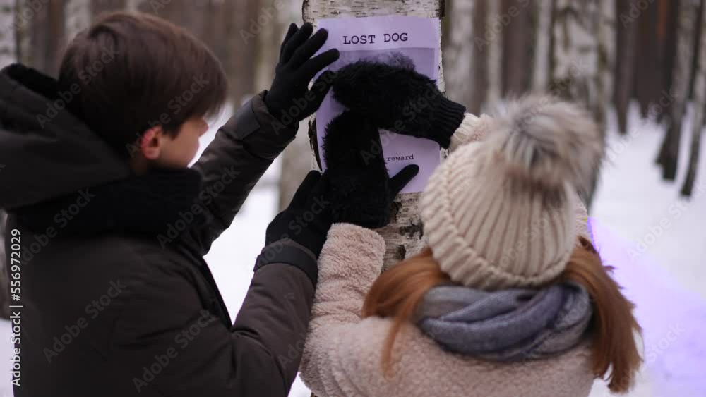 Birch tree in winter park with teenage couple entering hanging lost dog announcement. Caucasian boy and girl looking for missing pet outdoors placing placard on trunk Birch tree in winter park with teenage couple entering hanging lost dog announcement. Caucasian boy and girl looking for missing pet outdoors placing placard on trunk