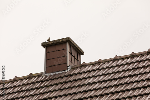 roof with chimney