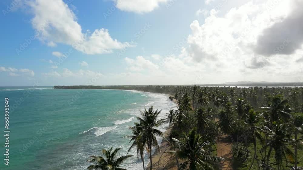 Aerial view of wild tropical beach at dawn. Flight above high coconut palms on the shore of the Caribbean sea with turquoise water Aerial view of wild tropical beach at dawn. Flight above high coconut palms on the shore of the Caribbean sea with turquoise water