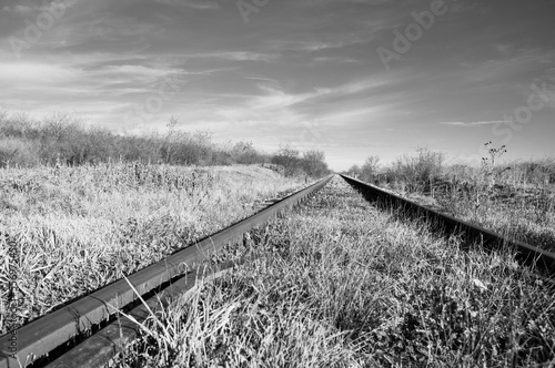Railway rails in nature. View from a distance.  Black and white photo.