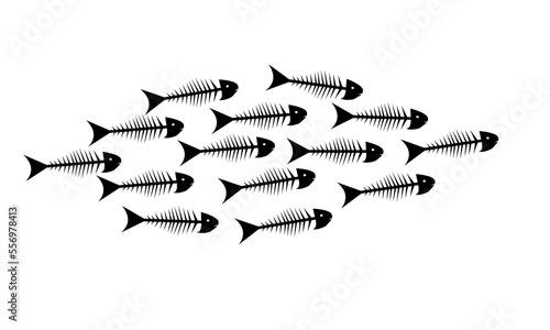 fish skeleton ocean sea conservation concept