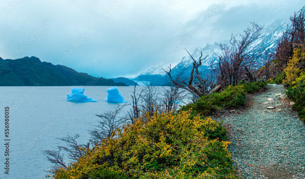 lake and mountains: tourism, lake, tourism, torres del paine, grey glacier, hiking, excursions, trees, cloudy day, fog, clouds, mountains, blue.
