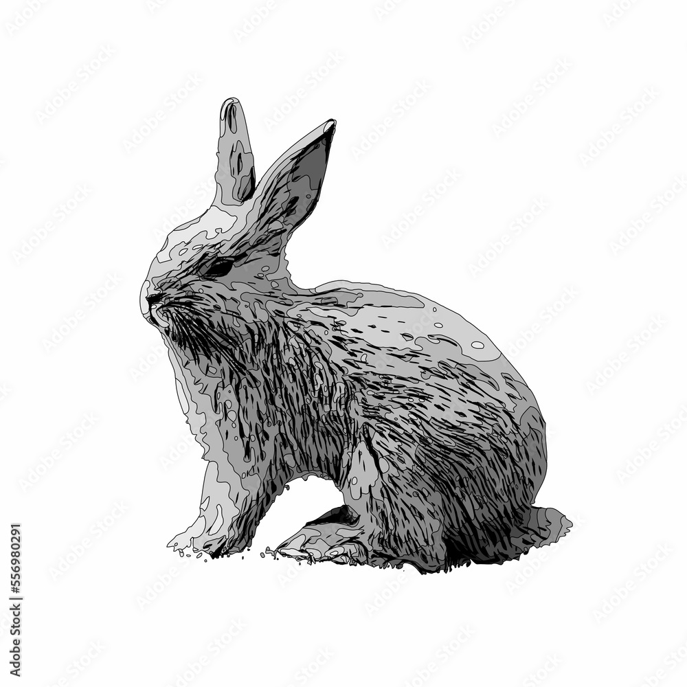 black and white drawing sketch of a rabbit with a transparent ...