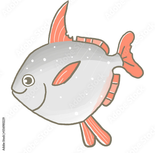 R:もっとメルヘンな水族館RX☆アカマンボウ①