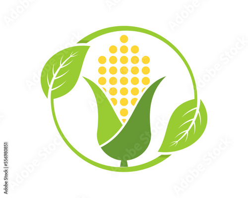 Circle leaf with corn inside