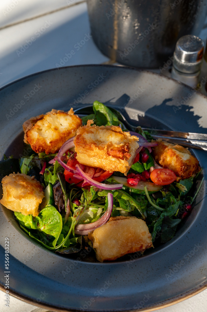 Healthy vegetarian Mediterranean food, Grilled Halloumi cheese Salad with green lettuce, onion and cucumber Healthy vegetarian Mediterranean food, Grilled Halloumi cheese Salad with green lettuce, onion and cucumber