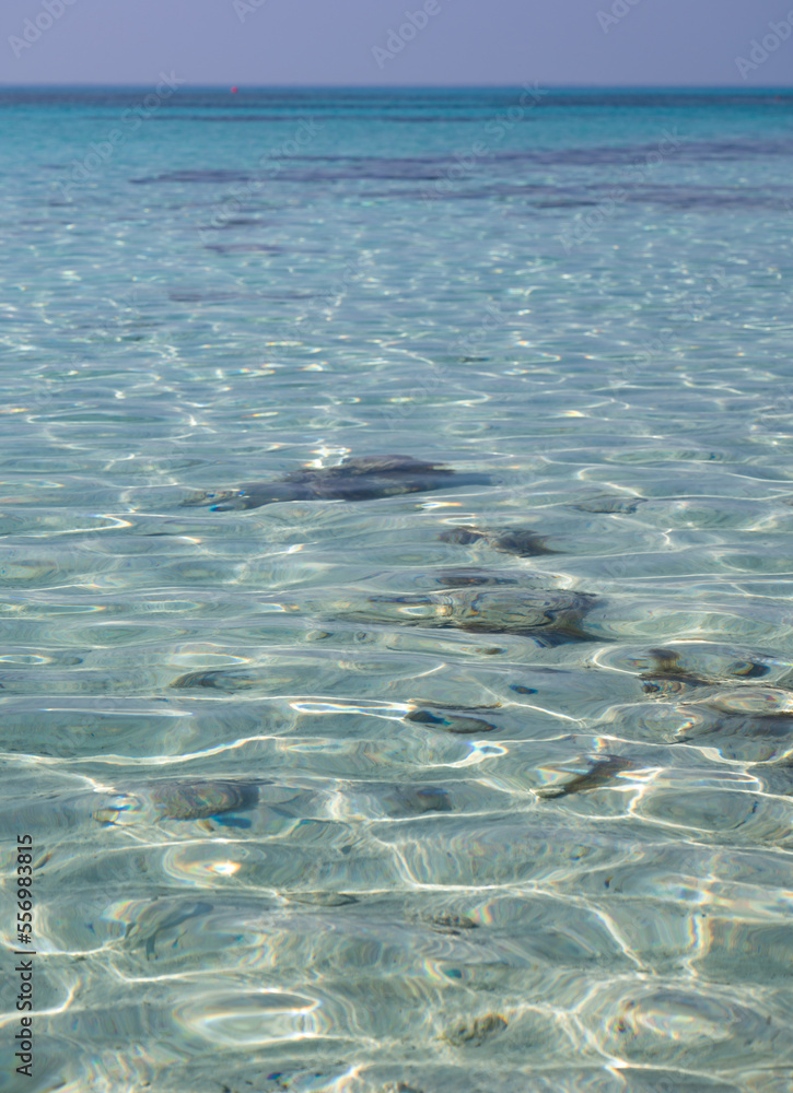 Panoramic view on blue crystal clear water on Mediterranean sea on Nissi beach, Ayia Napa, Cyprus Panoramic view on blue crystal clear water on Mediterranean sea on Nissi beach, Ayia Napa, Cyprus