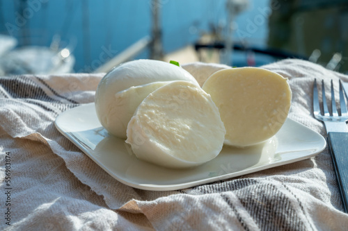 Tasting of white soft italian balls mozzarella cheese made from buffalo cow milk photo