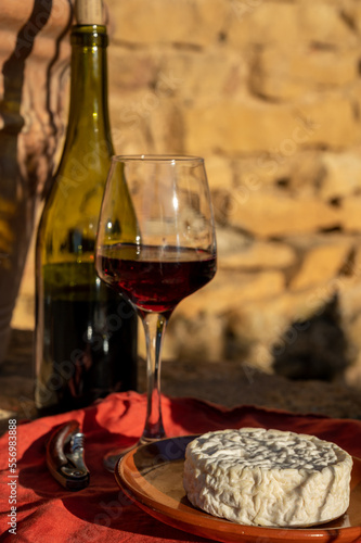 French wine and cheese pairing, glass of red beaujolais wine served with Saint-Félicien cow's milk cheese outdoor in Beaujolais winery near Lyon, France