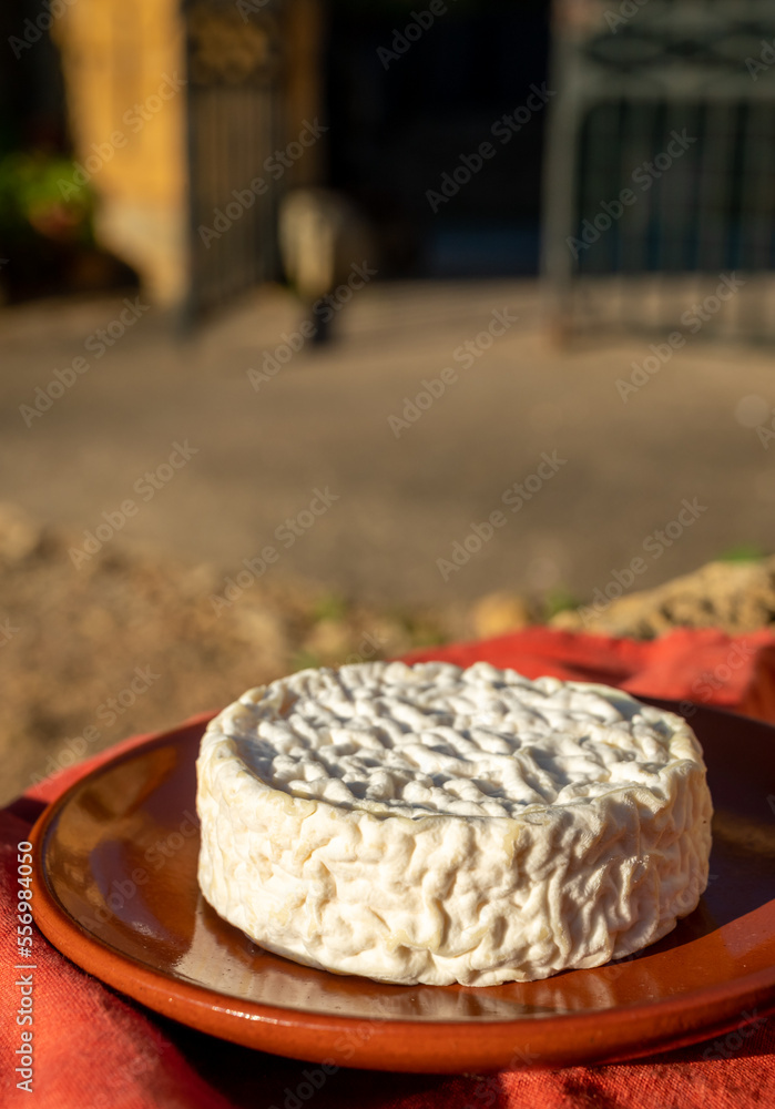 French cheeses collection, Saint-Félicien cow's milk cheese from Rhône-Alpes region of France designated a dauphinois cheese French cheeses collection, Saint-Félicien cow's milk cheese from Rhône-Alpes region of France designated a dauphinois cheese