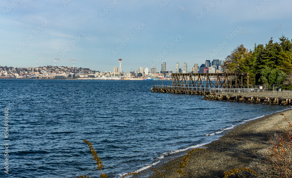 Pier And Seattle Skyline 3