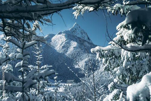 Fototapeta Naklejka Na Ścianę i Meble -  Widok na Giewont i Kalatówki, Tatry Polskie